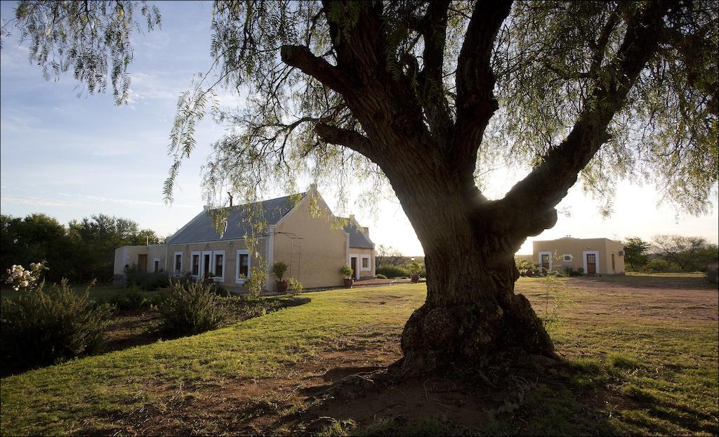 Rietfontein Ostrich Palace Vleirivier ภายนอก รูปภาพ